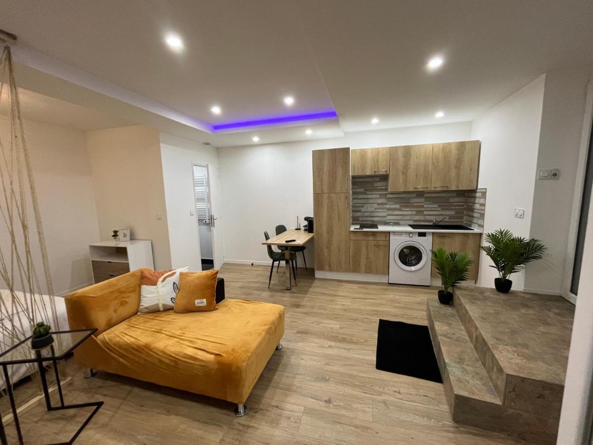 Appartement Luxe Jaune Saint-Etienne  Dış mekan fotoğraf
